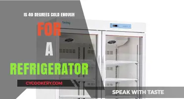 Chilling Facts: Is 40 Degrees Cold Enough for Your Fridge?