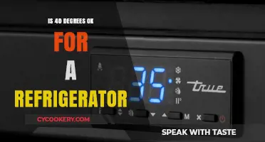 Is 40 Degrees Fahrenheit Safe for Your Refrigerator?