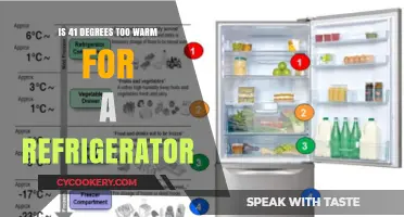 Is Your Fridge Too Warm? The Ideal Temperature Explained