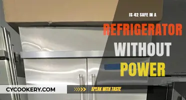 Refrigerator Safety: What Happens to 42 Without Power?