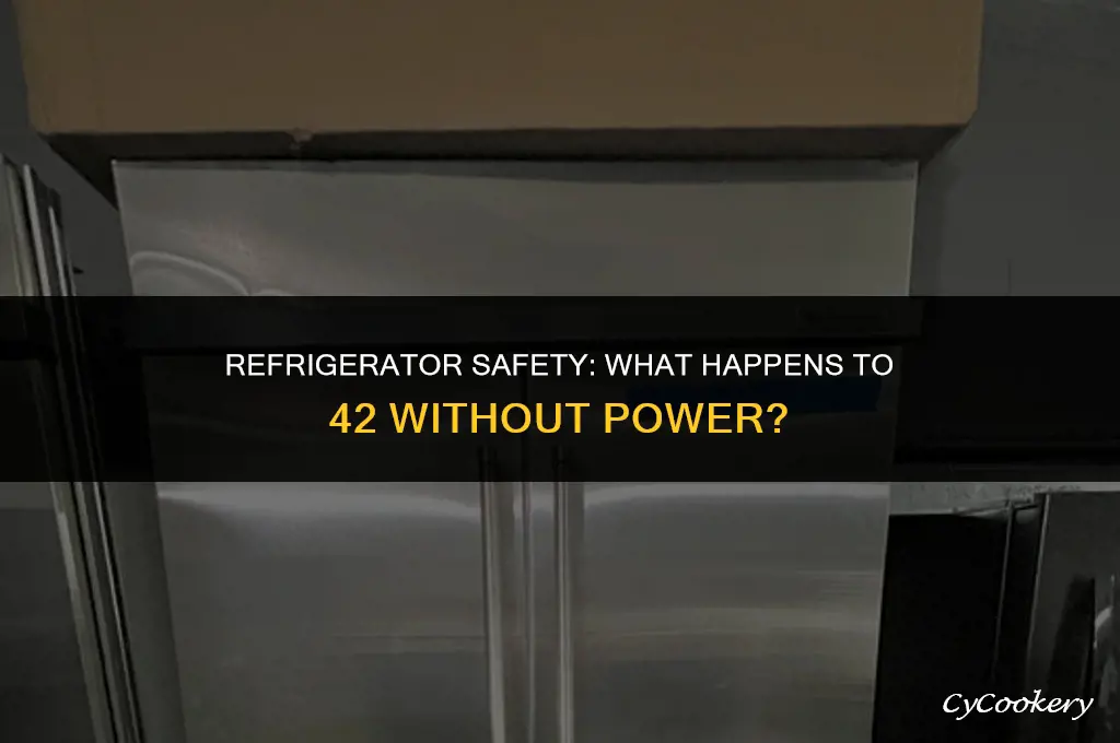 is 42 safe in a refrigerator without power