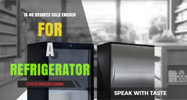 Chilling Facts: Is 46 Degrees Cold Enough for Your Fridge?