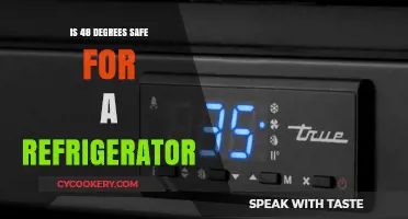 Is 48 Degrees Safe for Your Refrigerator? Expert Insights