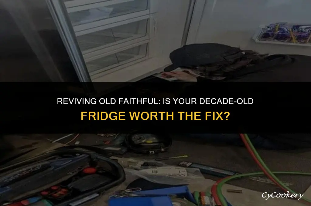is a 10 year old refrigerator worth fixing