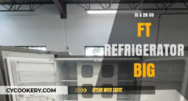 Is a 28 Cu Ft Refrigerator Big Enough for Your Needs?