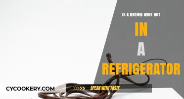 Understanding Refrigerator Wiring: Is a Brown Wire Hot?