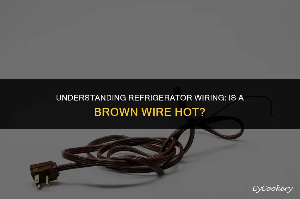 is a brown wire hot in a refrigerator