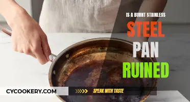 Stainless Steel Pan: Burnt, Ruined or Fixable?