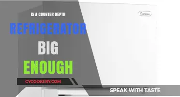 Is a Counter Depth Fridge Sufficient for Your Kitchen Needs?