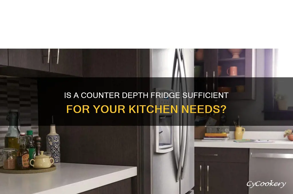 is a counter depth refrigerator big enough