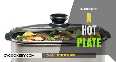 Crock-Pot vs Hot Plate: What's the Difference?