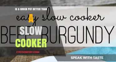 Crock Pot vs. Slow Cooker: Which One Suits Your Kitchen Best?