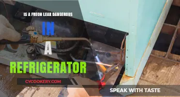 The Hidden Dangers of a Freon Leak in Your Refrigerator