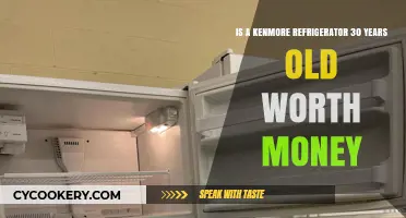 Is Your 30-Year-Old Kenmore Refrigerator a Hidden Treasure?