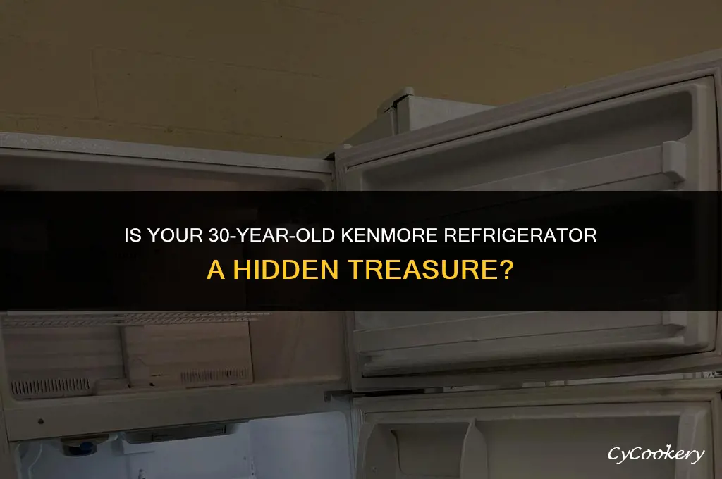 is a kenmore refrigerator 30 years old worth money