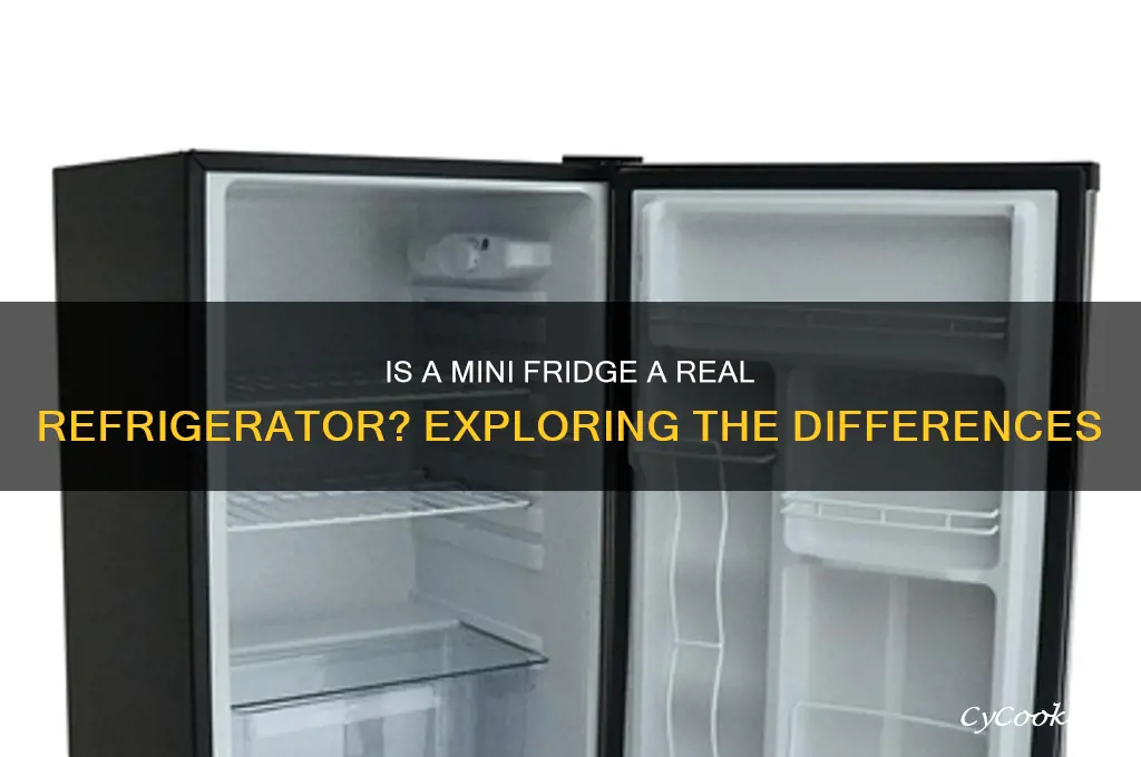 is a mini fridge considered a refrigerator