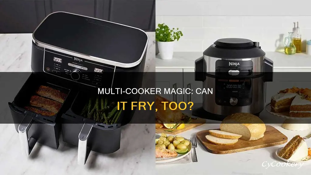 is a multi cooker an air fryer