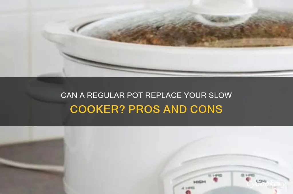 is a normal pot a substitute for slow cooker