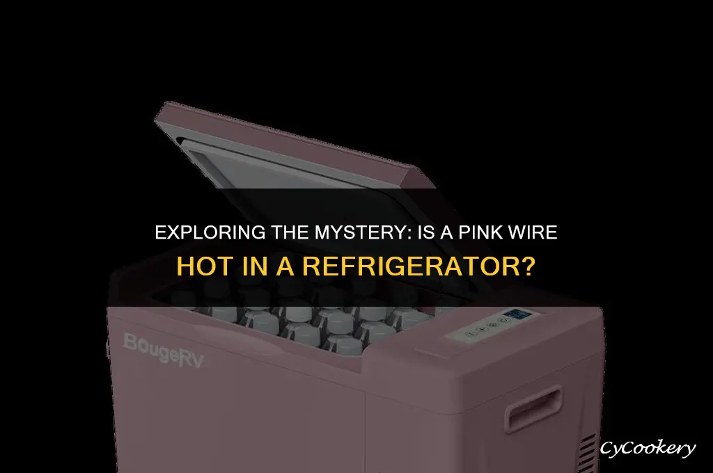 is a pink wire hot in a refrigerator