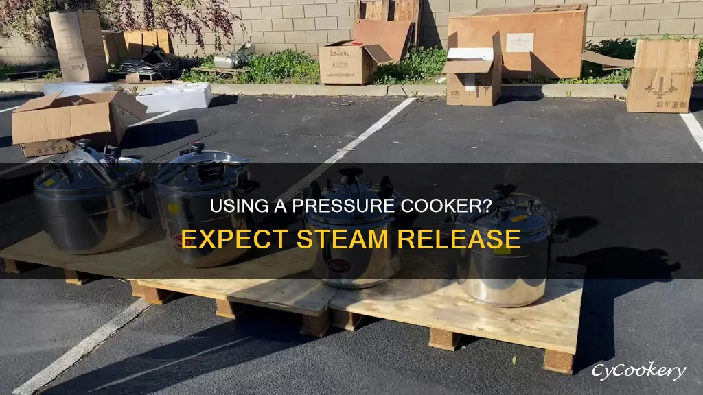 is a pressure cooker supposed to release steam while cooking