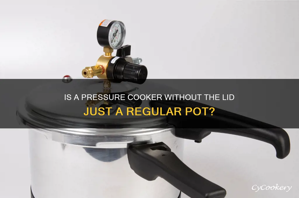is a pressure cooker without the top just a pot