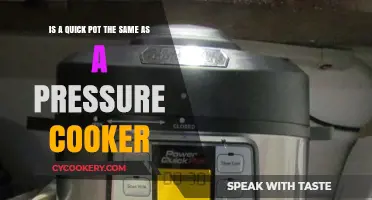 Quick Pot vs. Pressure Cooker: Understanding the Key Differences