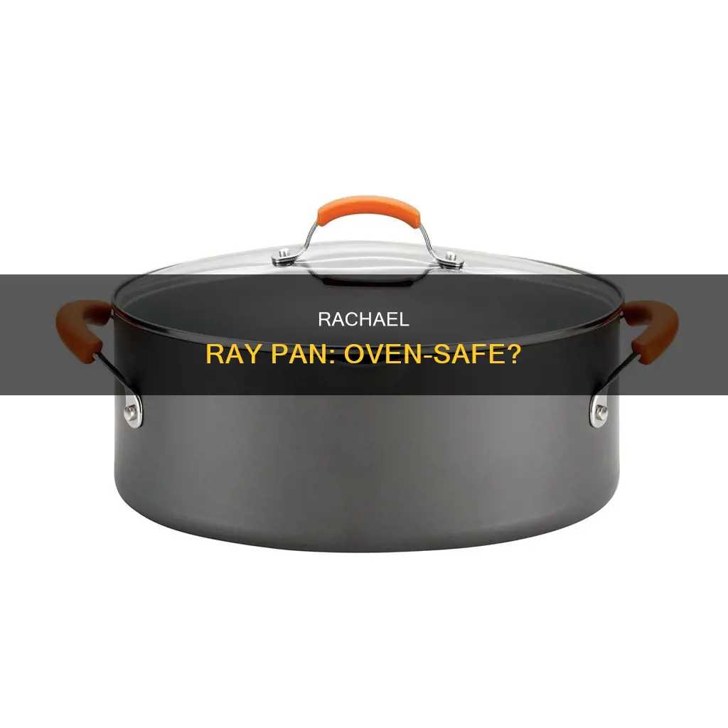 is a rachael ray pan over safe