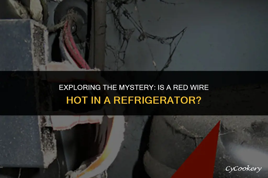 is a red wire hot in a refrigerator