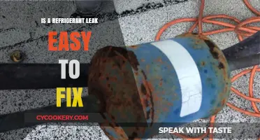 Refrigerant Leak Repair: Simple DIY Fix or Professional Job?