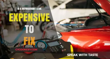 Refrigerant Leak Repair Costs: Expensive Fix or Affordable Solution?