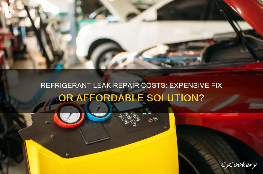 is a refrigerant leak expensive to fix