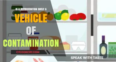 Chilling Truths: Can Refrigeration Shelves Harbor Contamination?