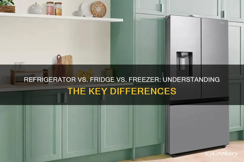 is a refrigerator a fridge or freezer