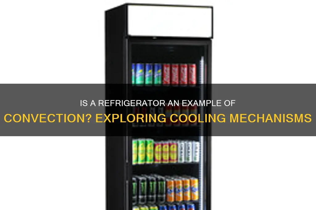 is a refrigerator an example of convection