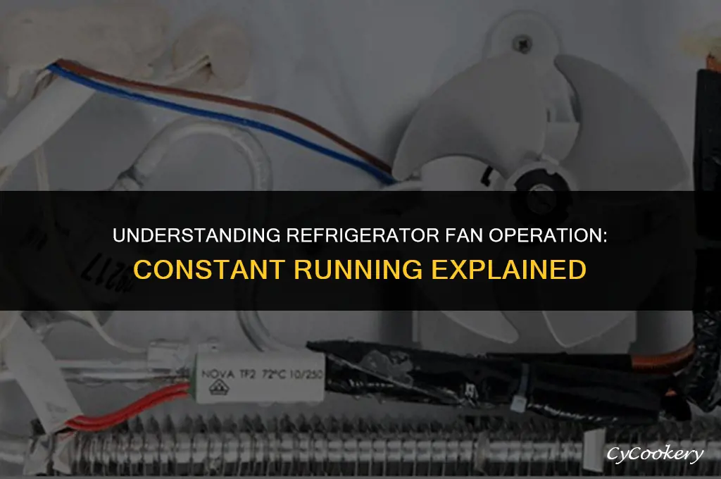 is a refrigerator fan supposed to run constantly