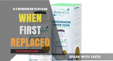 Revitalizing Your Refrigerator: The Initial Slowness of a New Filter
