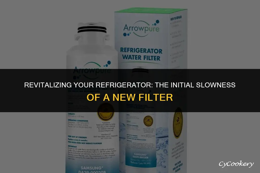 is a refrigerator filter slow when first replaced
