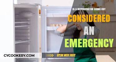 Urgent or Not? Understanding When Your Fridge's Failure Is an Emergency