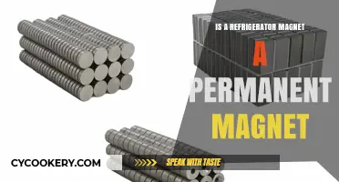 Are Refrigerator Magnets Permanent? Exploring Their Magnetic Properties