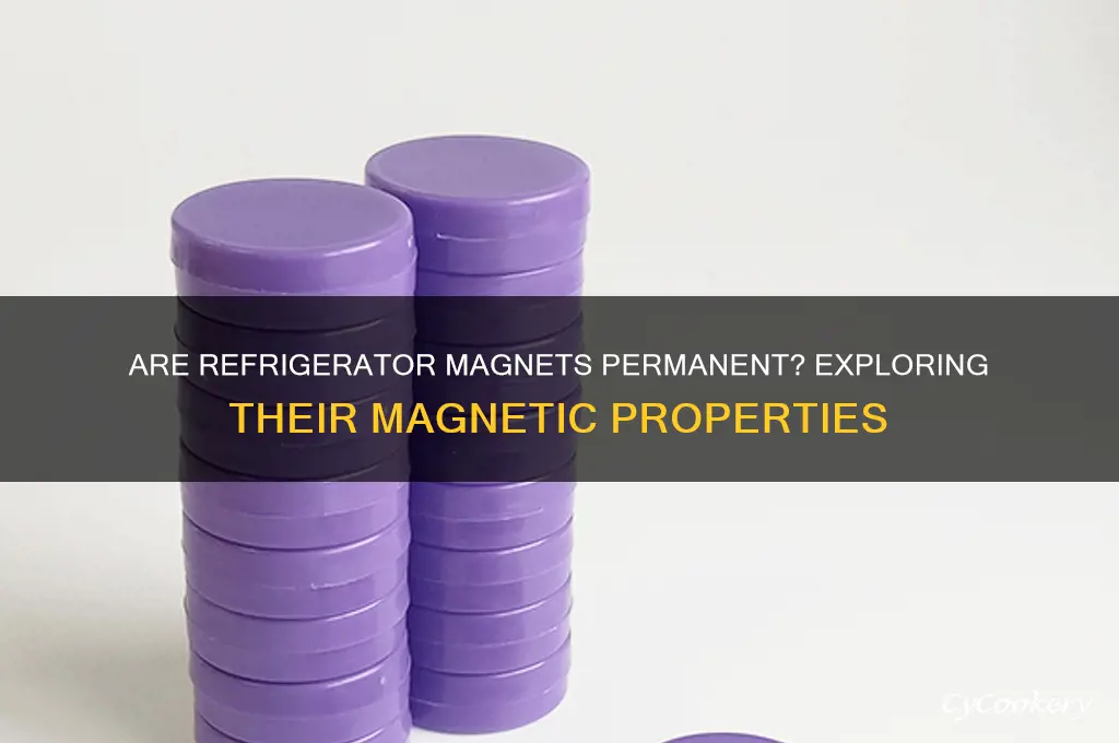 is a refrigerator magnet a permanent magnet
