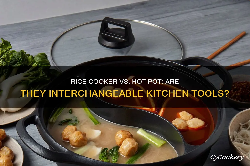 is a rice cooker considered a hot pot