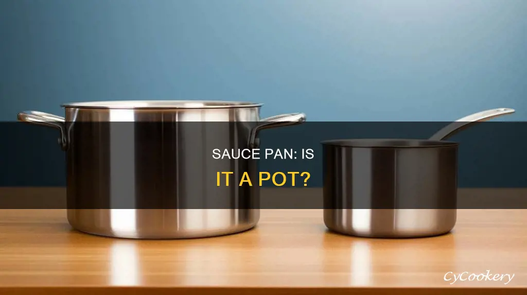 is a sauce pan a pot