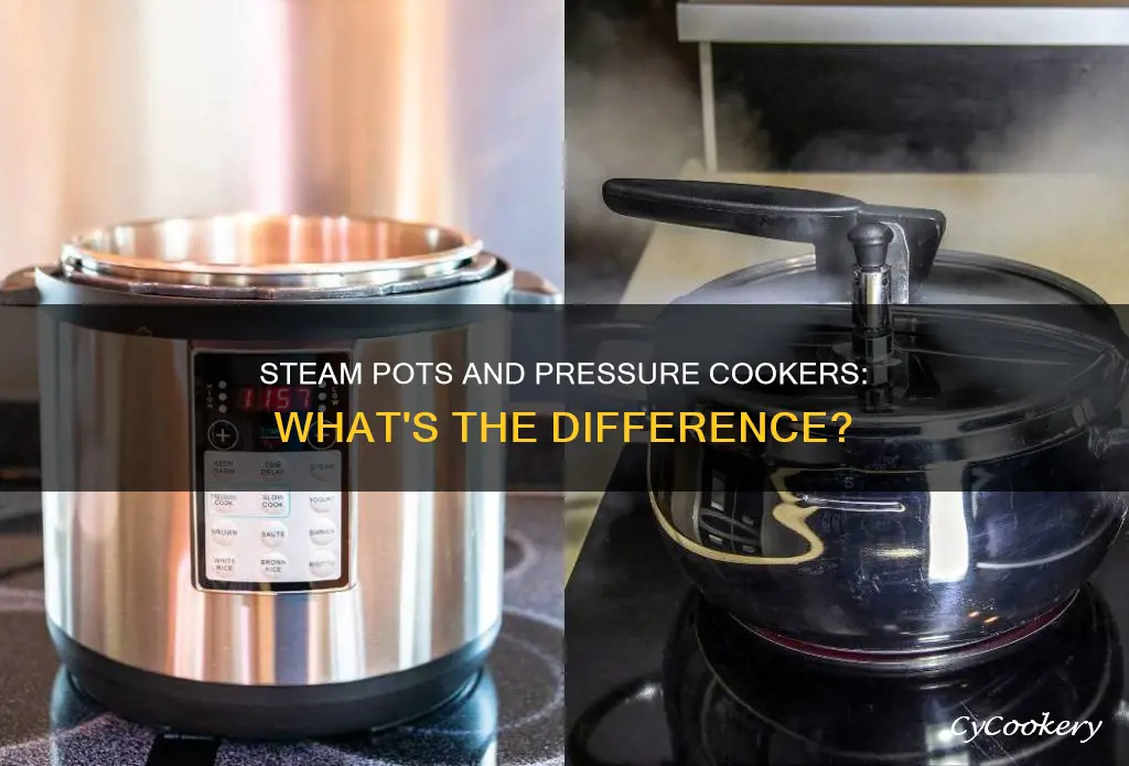 is a steam pot like a pressure cooker