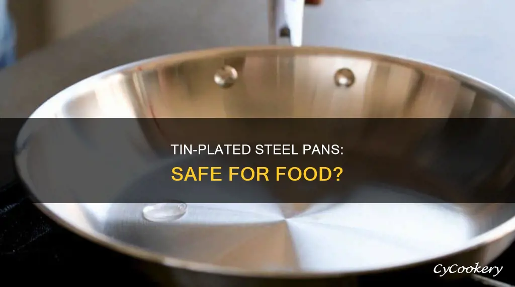 is a tin plated steel construction pan safe for food