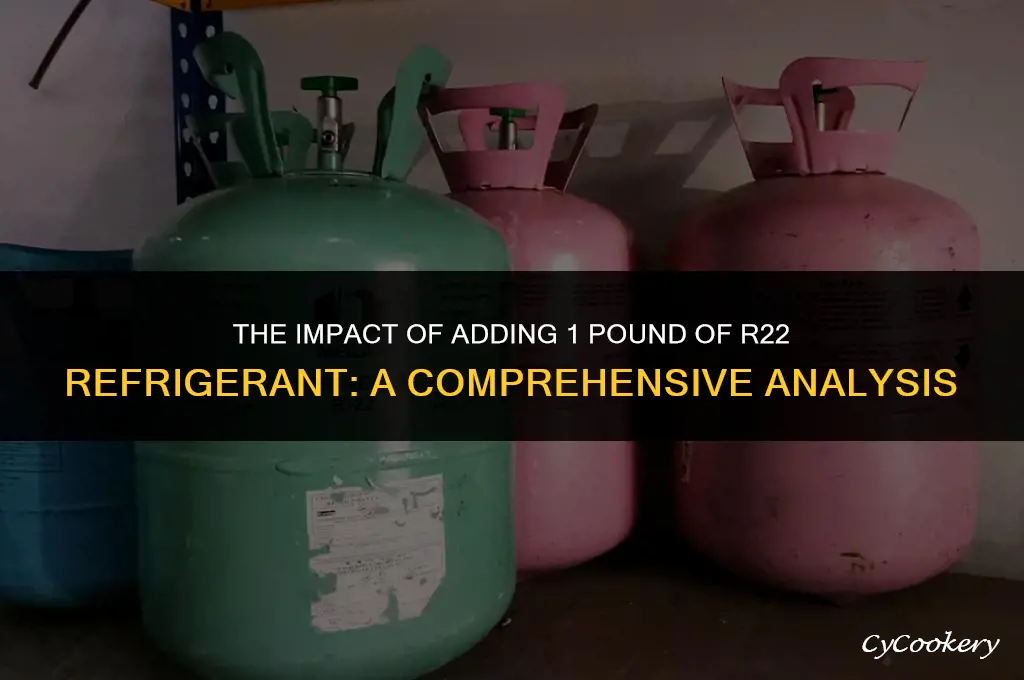 is adding 1lb of r22 refrigerant a bad thing