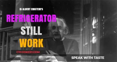 Does Einstein's Revolutionary Refrigerator Still Function Today?
