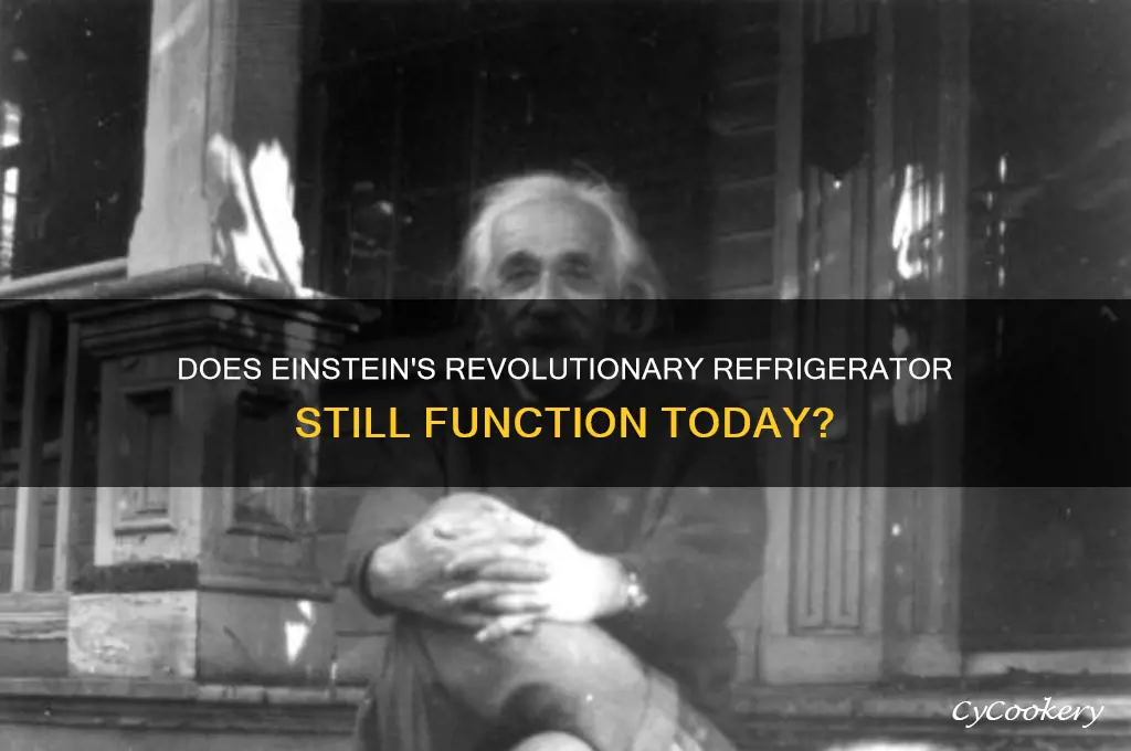 is albert einstein