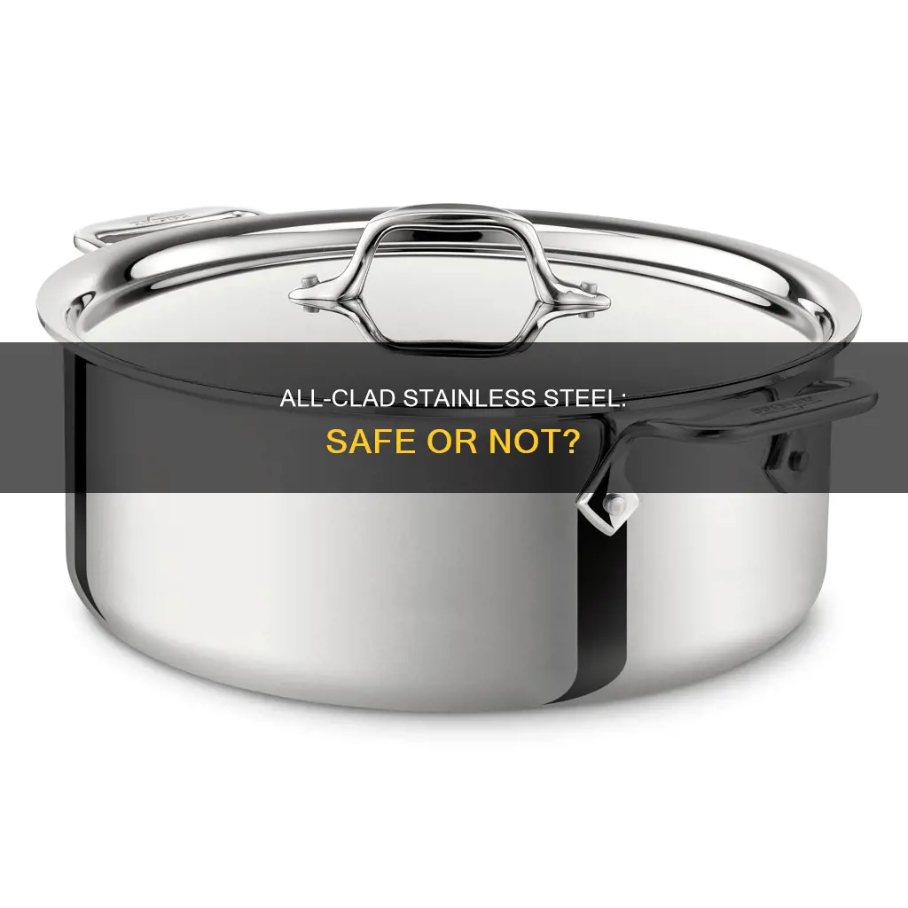 is all clad stainless steel non toxic