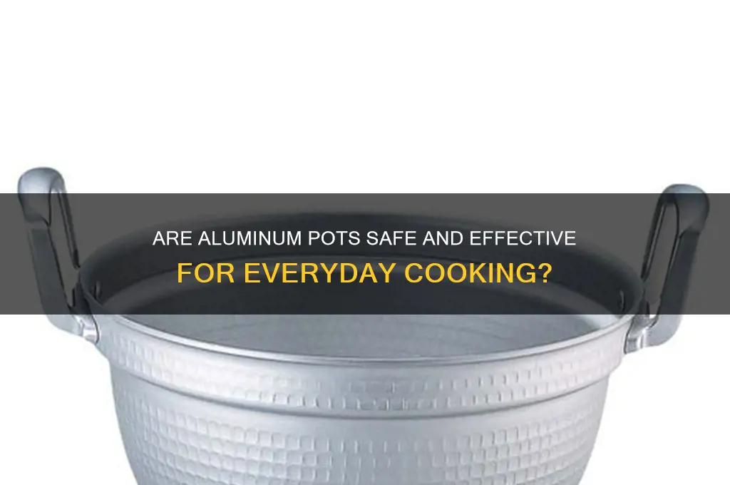 is alluminum pots good gor cooking