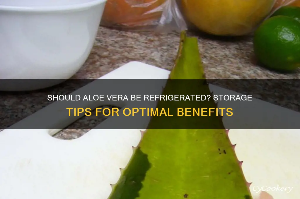 is aloe vera supposed to be refrigerated